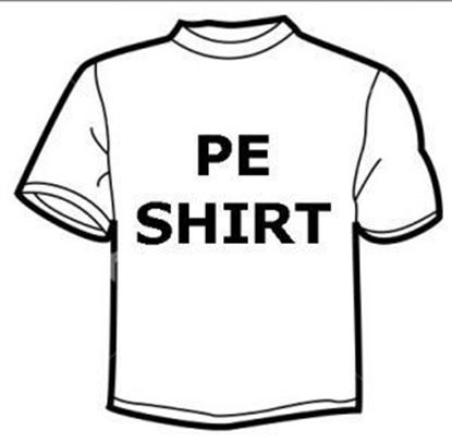 Picture of Pe Shirt